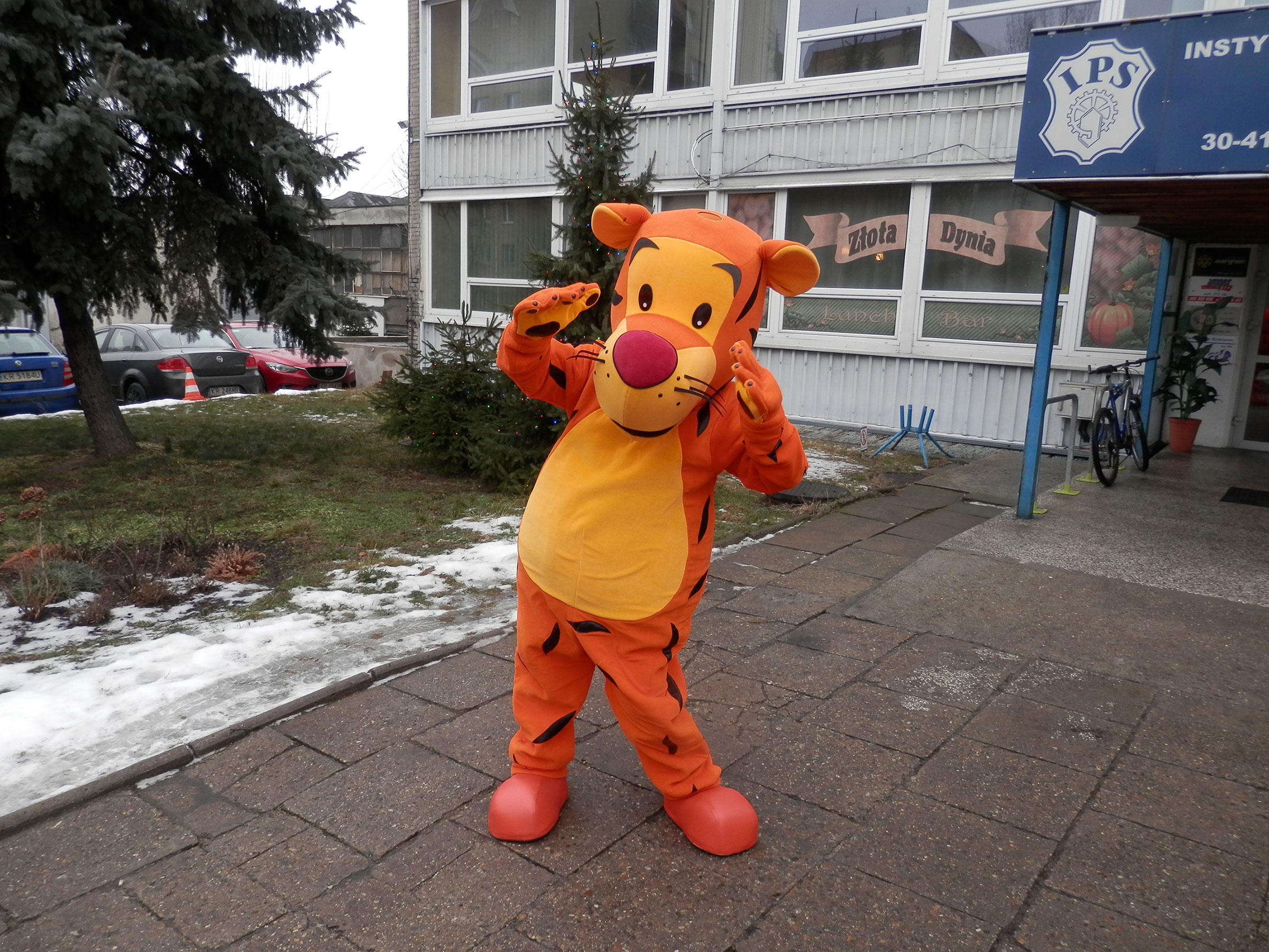 Czy zastanawiałaś się kiedyś, czym są profesjonalne kostiumy reklamowe? Tygrys